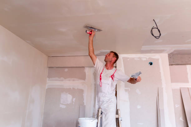 Best Custom Drywall Designs  in Garland, TX